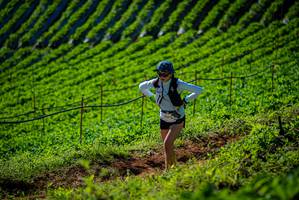 BIB: 
                            <button type="button" onclick="openModal(19160989)" class="btn btn-primary btn-sm float-right btn-popup" data-toggle="modal" data-target=".modal-high-quality">
                        <i class="fas fa-shopping-cart"></i> Add to Cart
                    </button>
                                            <button type="button" onclick="isThisMe(19160989, true)" class="btn btn-success btn-sm float-right btn-popup btn-isme hidden" data-toggle="tooltip" data-placement="bottom" title="นี่คือรูปของคุณใช่ไหม คลิกที่นี่เพื่อเอาเข้าอัลบั้ม">
                        <i class="fas fa-plus"></i> Add to album
                    </button>
                    <button type="button" onclick="isThisMe(19160989, false)" class="btn btn-warning btn-sm float-right btn-popup btn-isnotme hidden">
                        <i class="fas fa-ban"></i> Remove from album
                    </button>